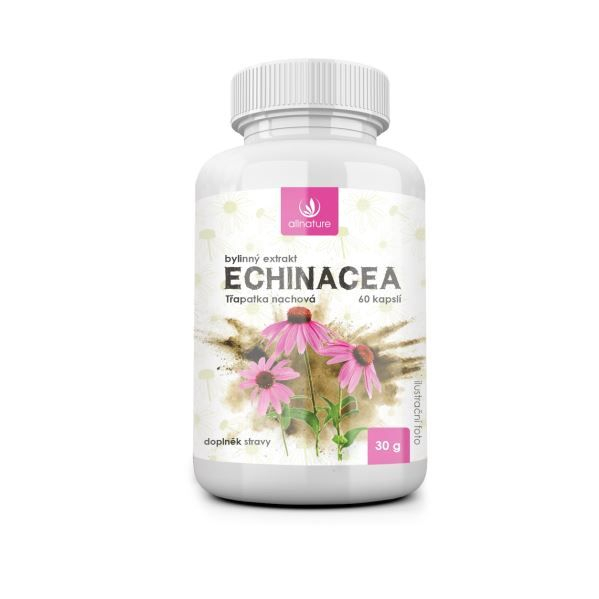 Allnature Echinacea bylinný extrakt 60 kapslí Allnature