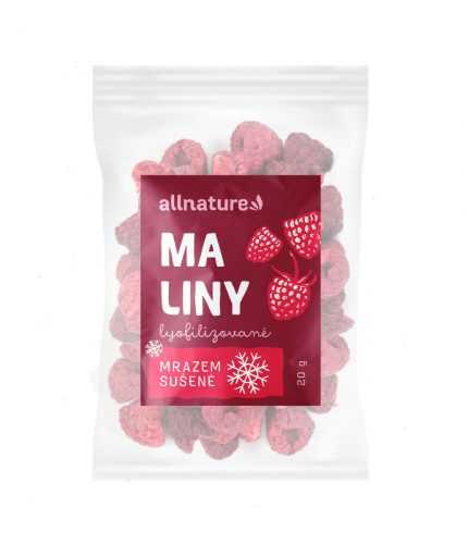 Allnature Maliny sušené mrazem 20 g Allnature