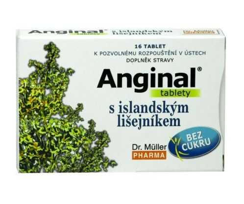 Anginal s islandským lišejníkem 16 tablet Anginal
