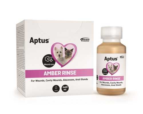 Aptus AMBER RINSE roztok k oplachu ran 4x60 ml Aptus