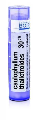 Boiron CAULOPHYLLUM THALICTROIDES CH30 granule 4 g Boiron
