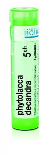 Boiron PHYTOLACCA DECANDRA CH5 granule 4 g Boiron