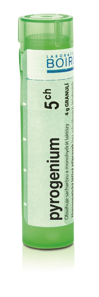 Boiron PYROGENIUM CH5 granule 4 g Boiron