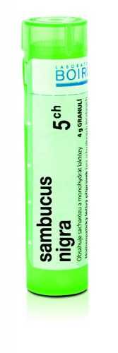 Boiron SAMBUCUS NIGRA CH5 granule 4 g Boiron