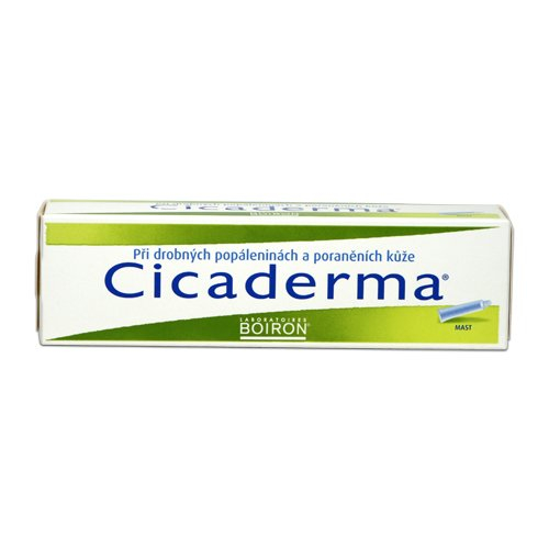 Cicaderma mast 30 g