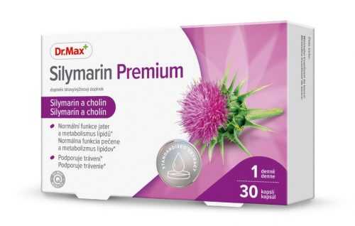 Dr.Max Silymarin Premium 30 kapslí Dr.Max