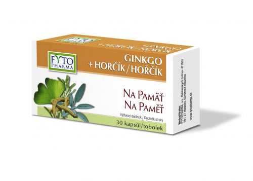 Fytopharma Ginkgo + Hořčík na paměť 30 tobolek Fytopharma