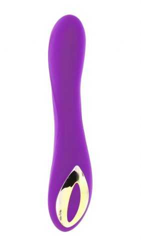 Healthy life Vibrator Rechargeable purple 0601570305 Healthy life