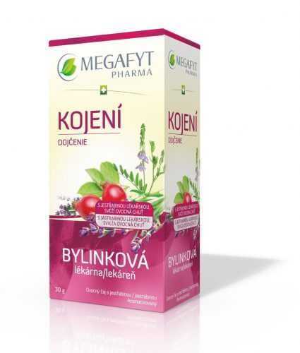 Megafyt Bylinková lékárna Kojení 20x1