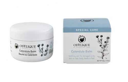 ODYLIQUE Měsíčkový balzám CALENDULA BALM BIO 50 g ODYLIQUE