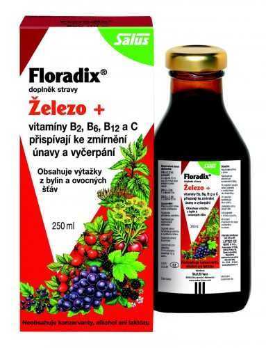 Salus Floradix Železo+ sirup 250 ml Salus