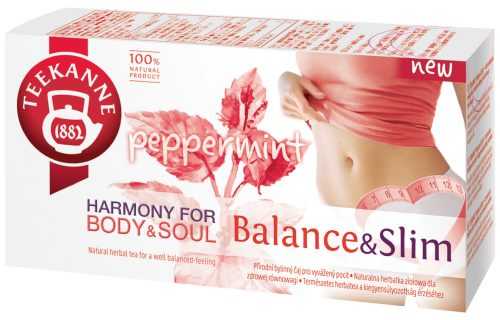 Teekanne Wellness Balance&Slim porcovaný čaj 20x1