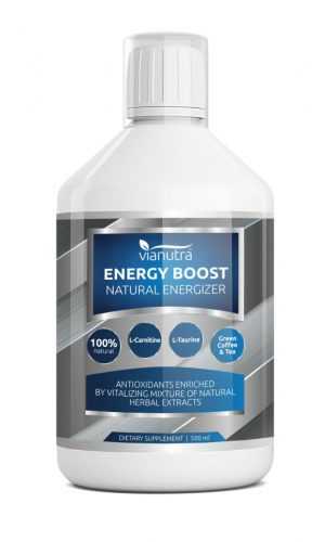 VIANUTRA Energy Boost natural energizer 500 ml VIANUTRA