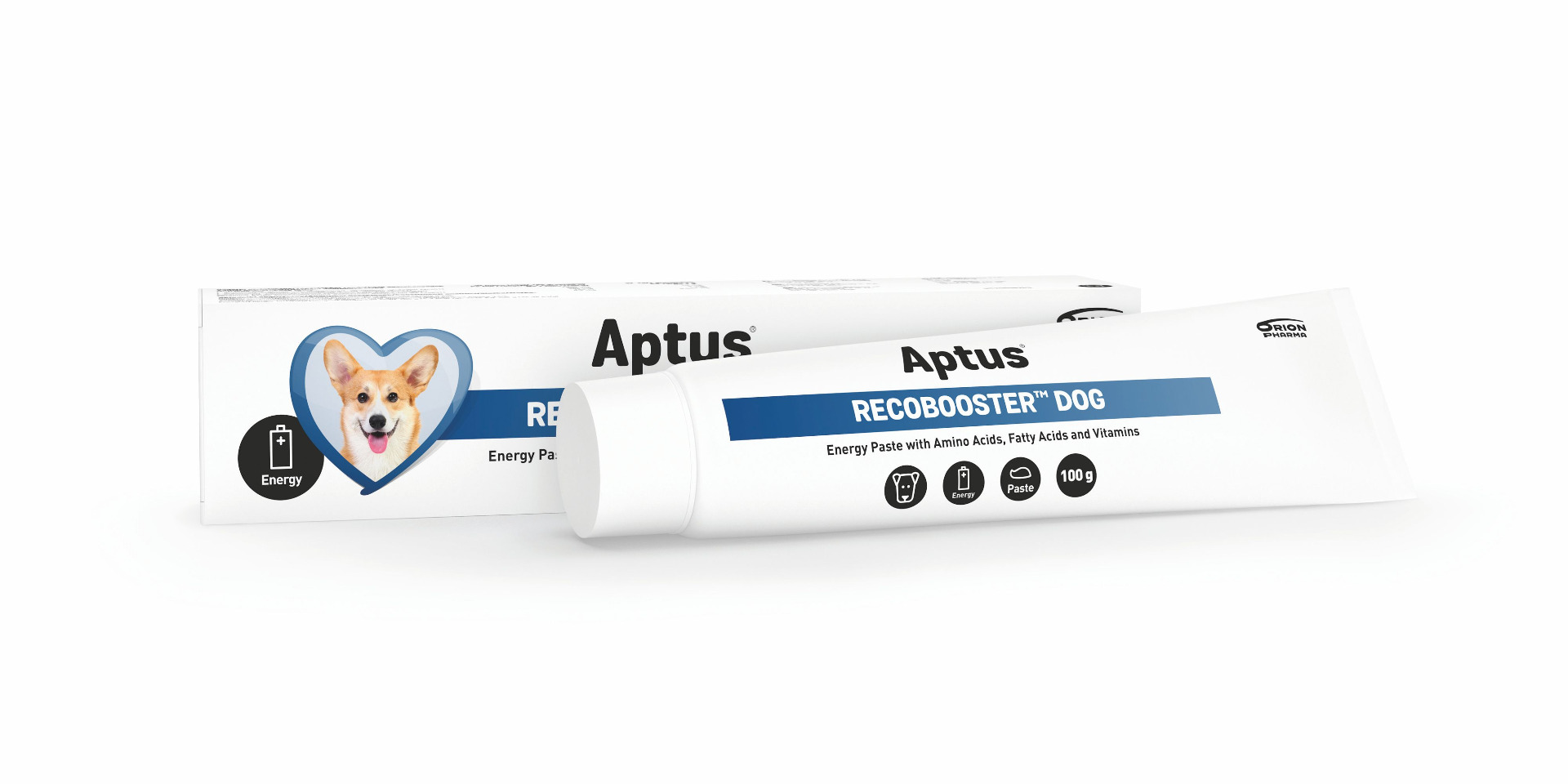 Aptus Recobooster Dog energetická pasta 100 g Aptus