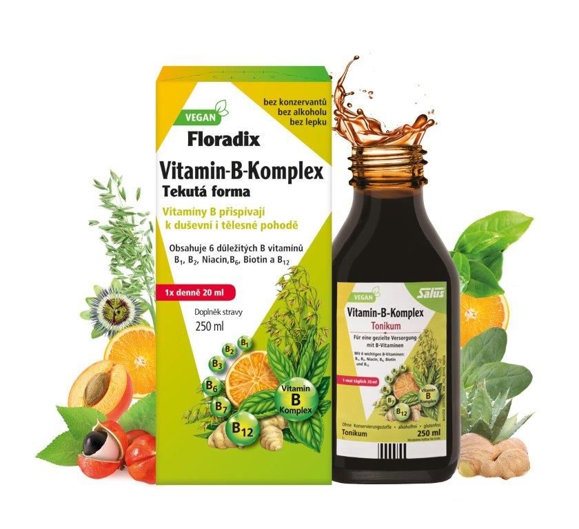 Salus Floradix Vitamin-B-komplex 250 ml Salus