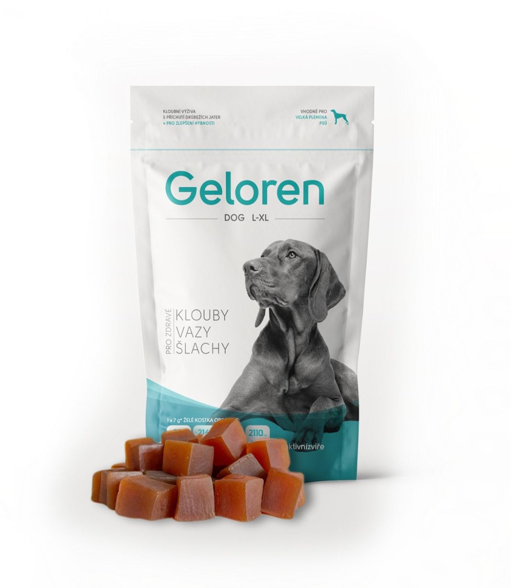 Geloren Dog L-XL kloubní výživa 60 tablet Geloren