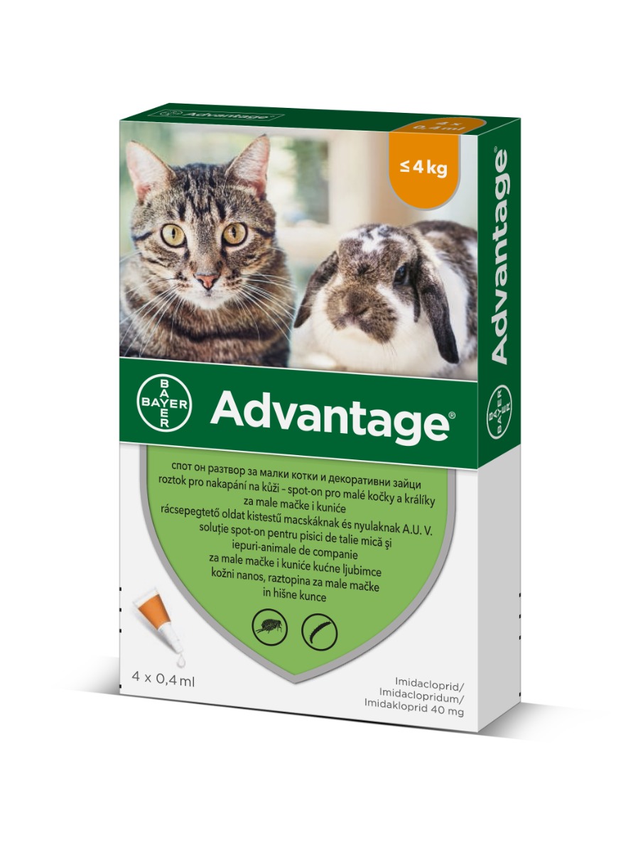 Advantage Spot-on pro malé kočky a králíky 40 mg 4x0