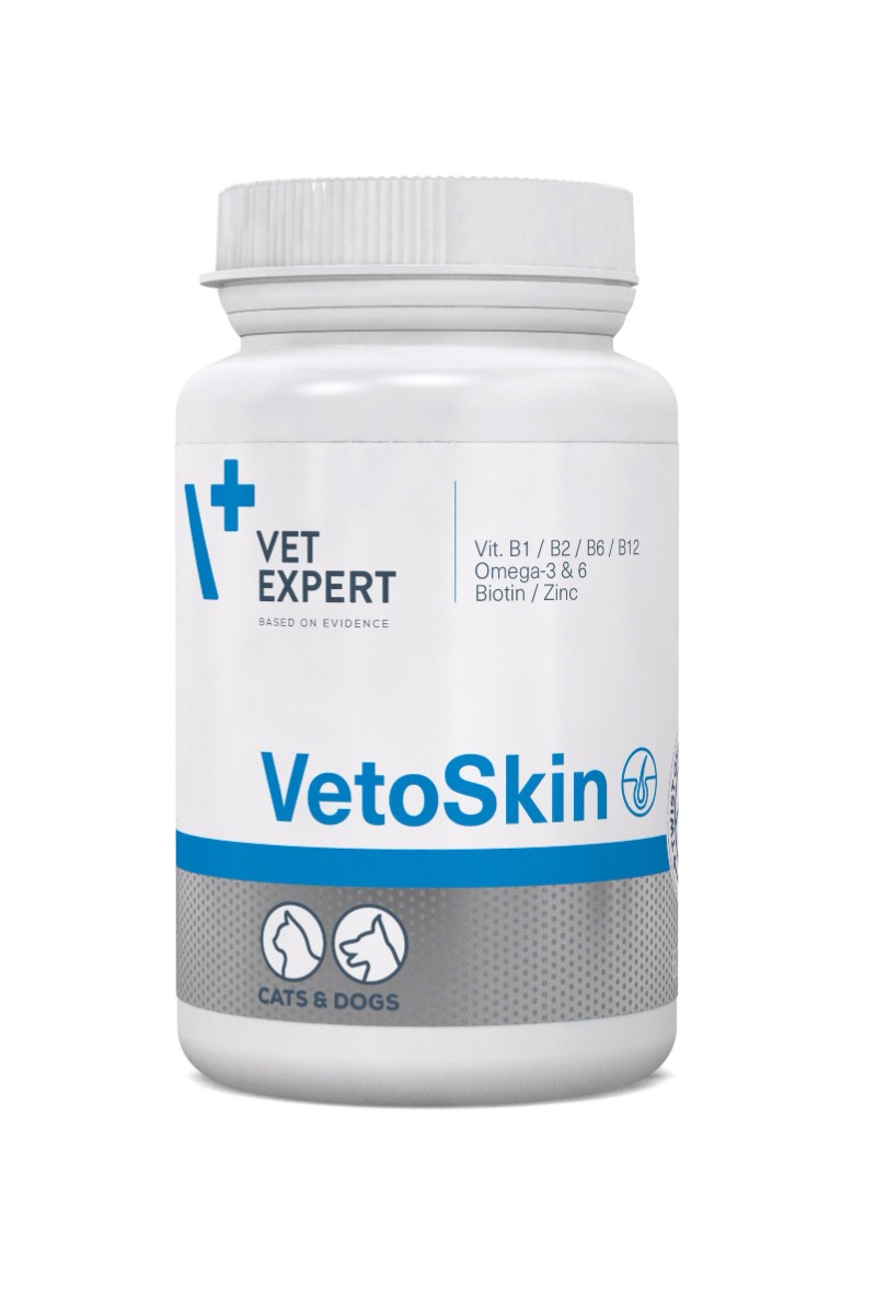 VetExpert VetoSkin 60 kapslí VetExpert