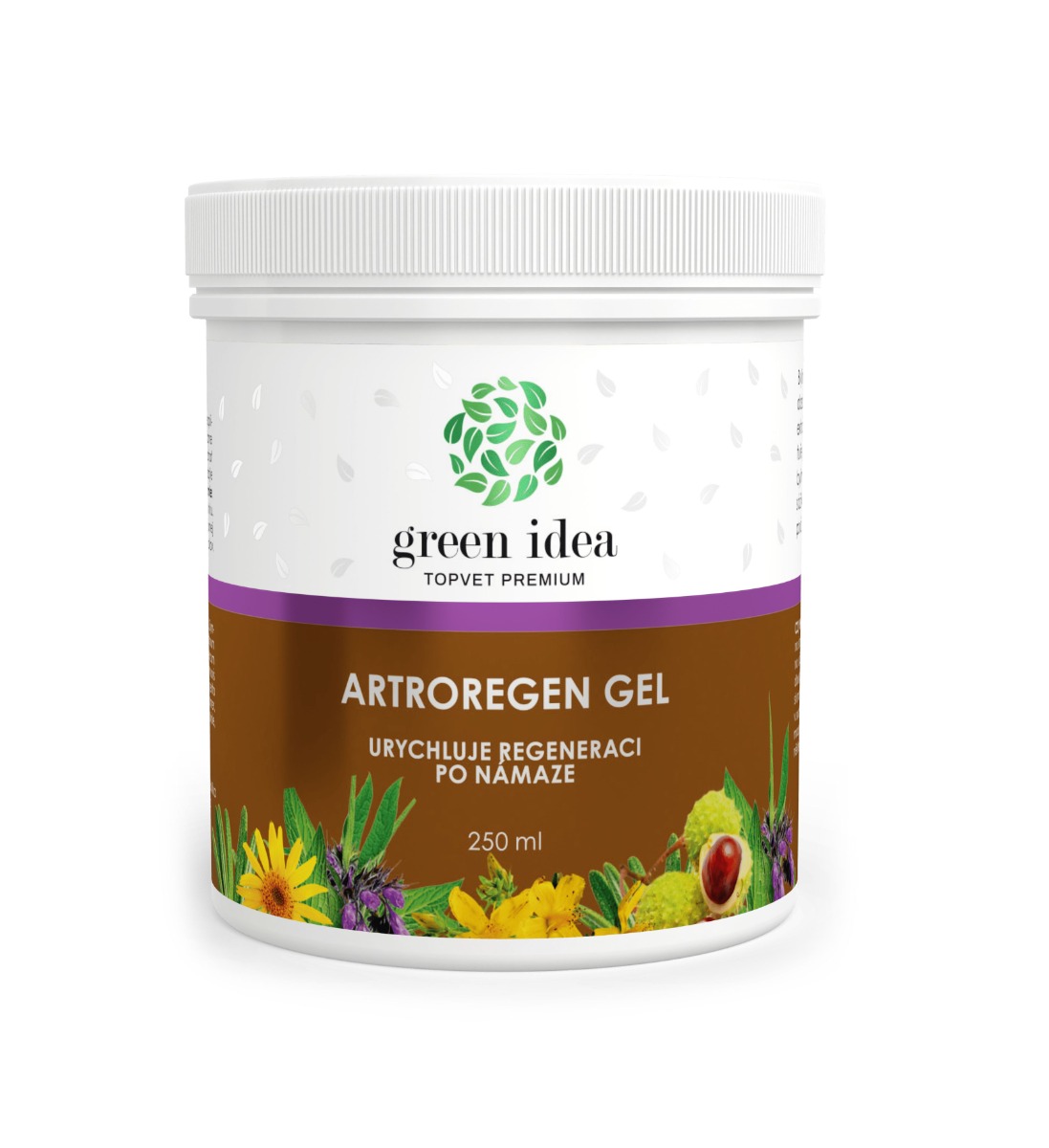 Green idea Artroregen gel 250 ml Green idea