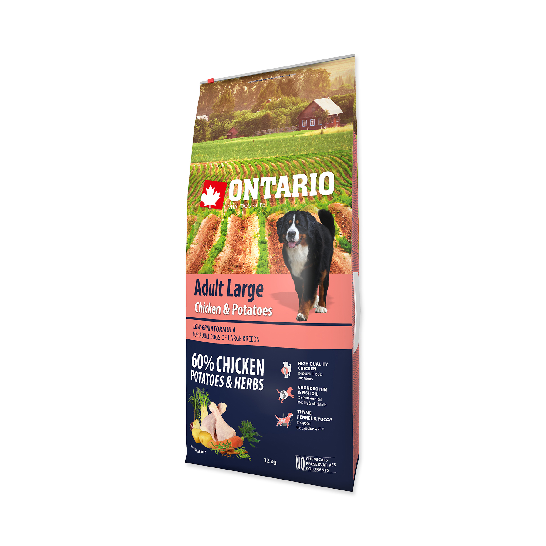 Ontario Adult Large Chicken&Potatoes granule 12 kg Ontario