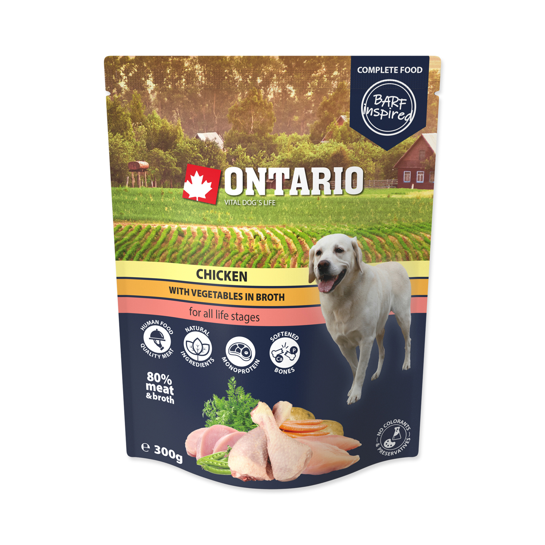 Ontario Kuřecí se zeleninou ve vývaru kapsička 300 g Ontario