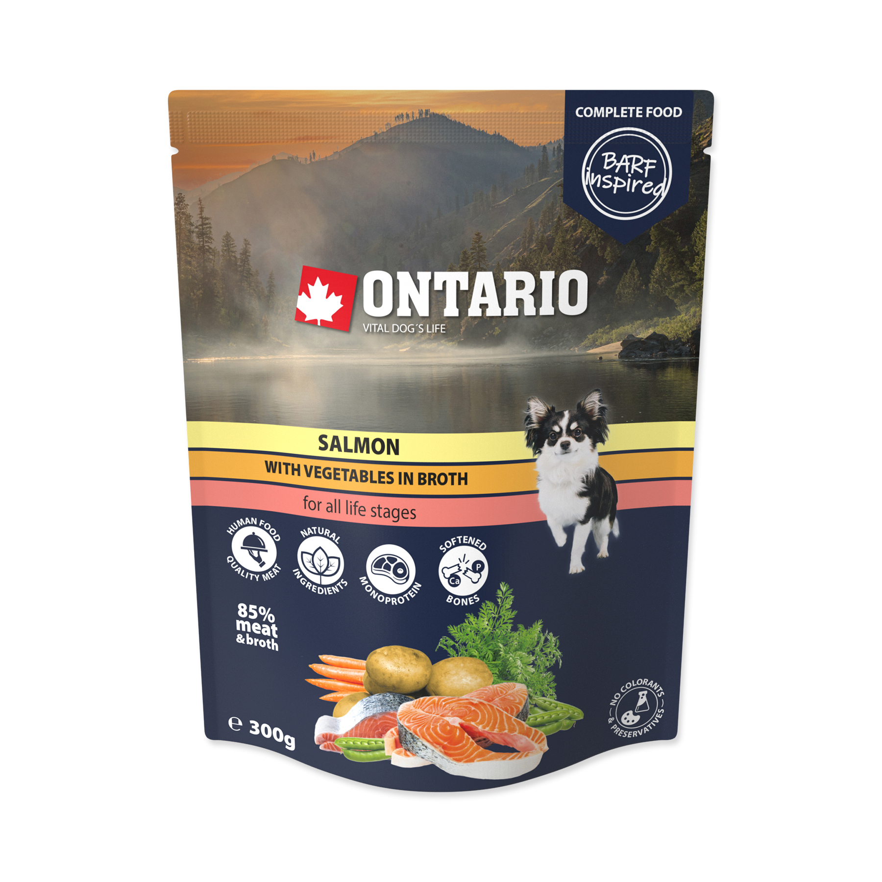 Ontario Losos se zeleninou ve vývaru kapsička 300 g Ontario