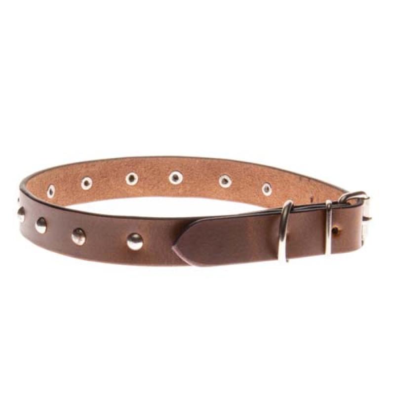 Cobbyspet Obojek z pravé olejové kůže hnědý zdobený kovovou dekorací  20mm/60cm Cobbys Pet