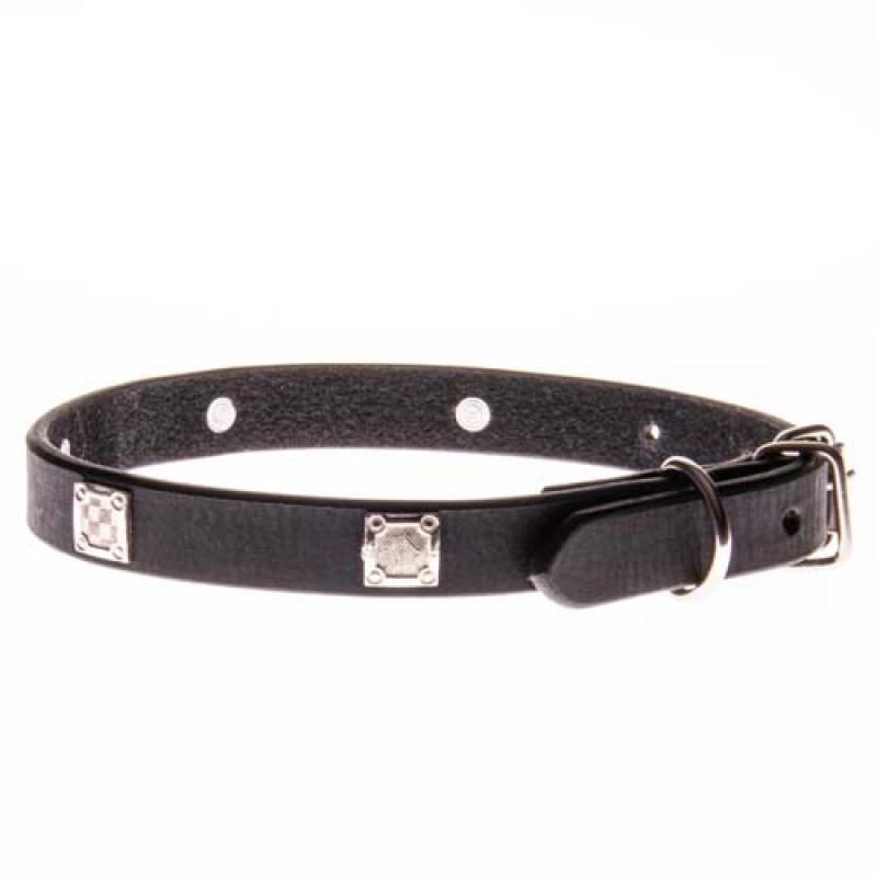 Cobbyspet Obojek z pravé olejové kůže zdobený stříbrnými kostkami 15mm/45cm Cobbys Pet