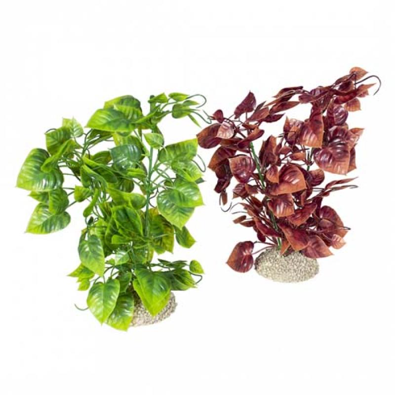 Ebi AQUA DELLA Rostlina umělá ANUBIAS NANA L mix farby 25cm 1ks Ebi