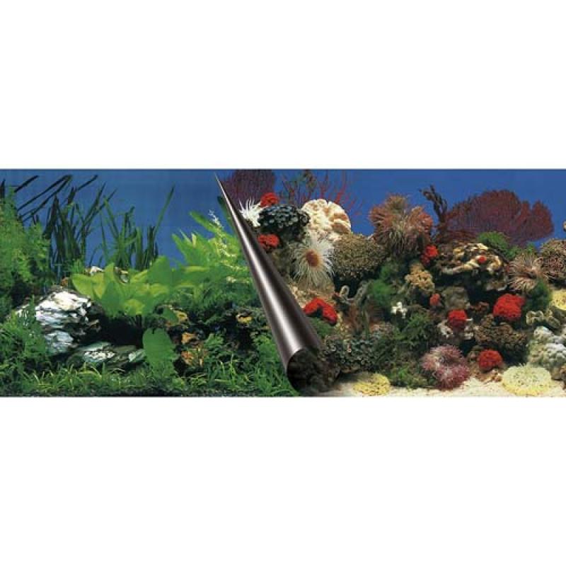 Ebi Photo Decor Stone + Coral 120 x 50cm Ebi