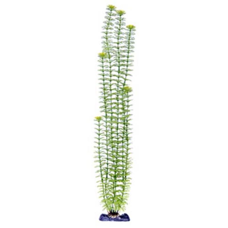 Penn Plax Rostl.umělá 56 cm Ambulia (Green) Giant Penn Plax