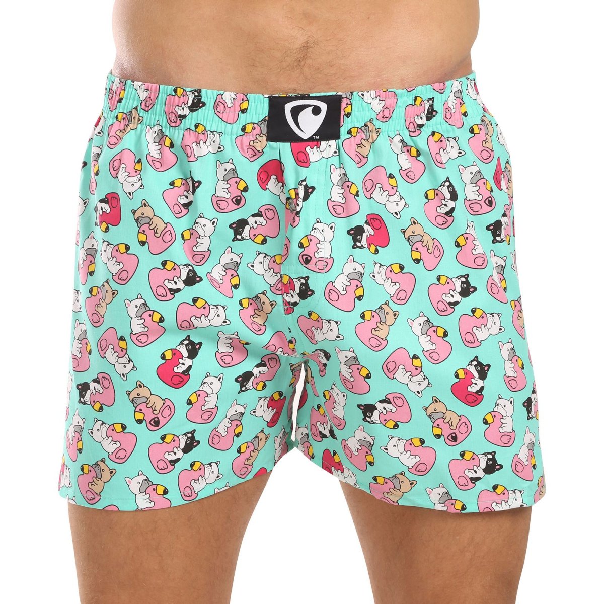 Represent Pánské trenky exclusive Ali Bulldog Bathing (R4M-BOX-0611) 3XL Represent