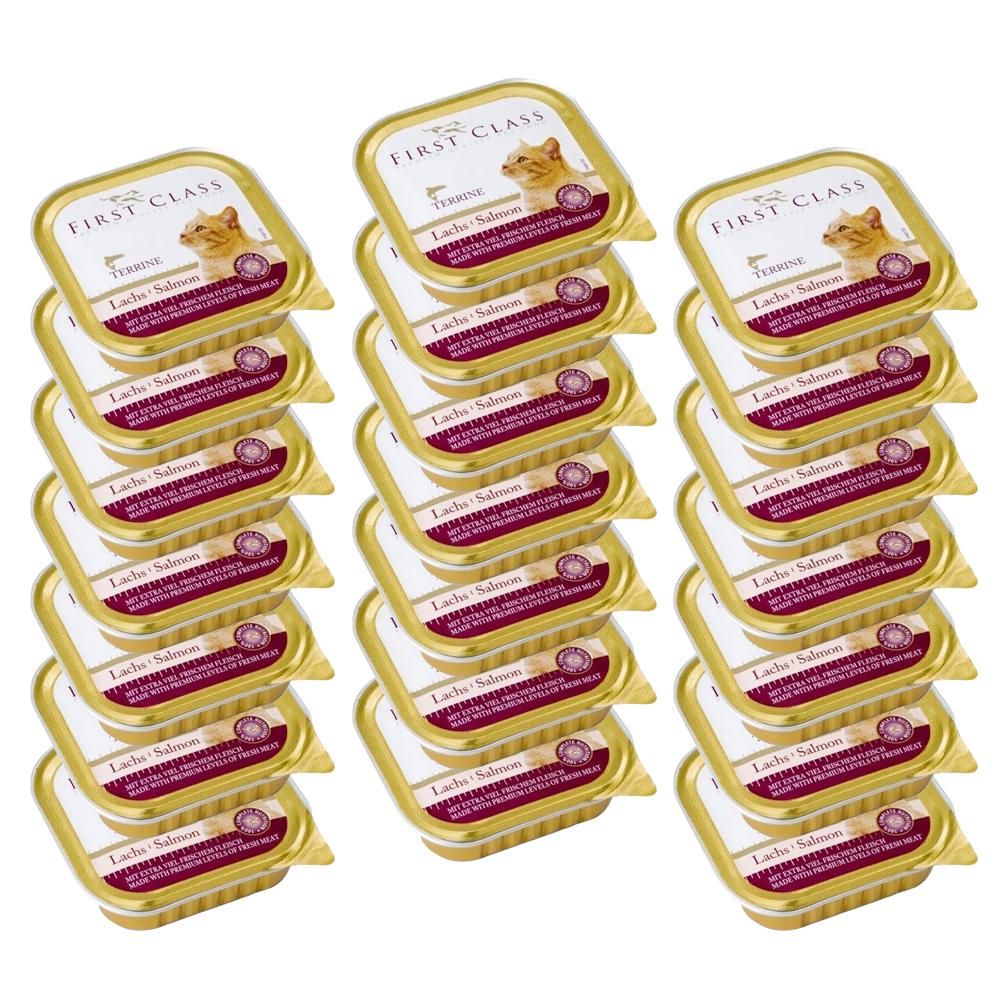 Akinu FIRST CLASS Losos paštika pro kočky 21 x 100 g Akinu