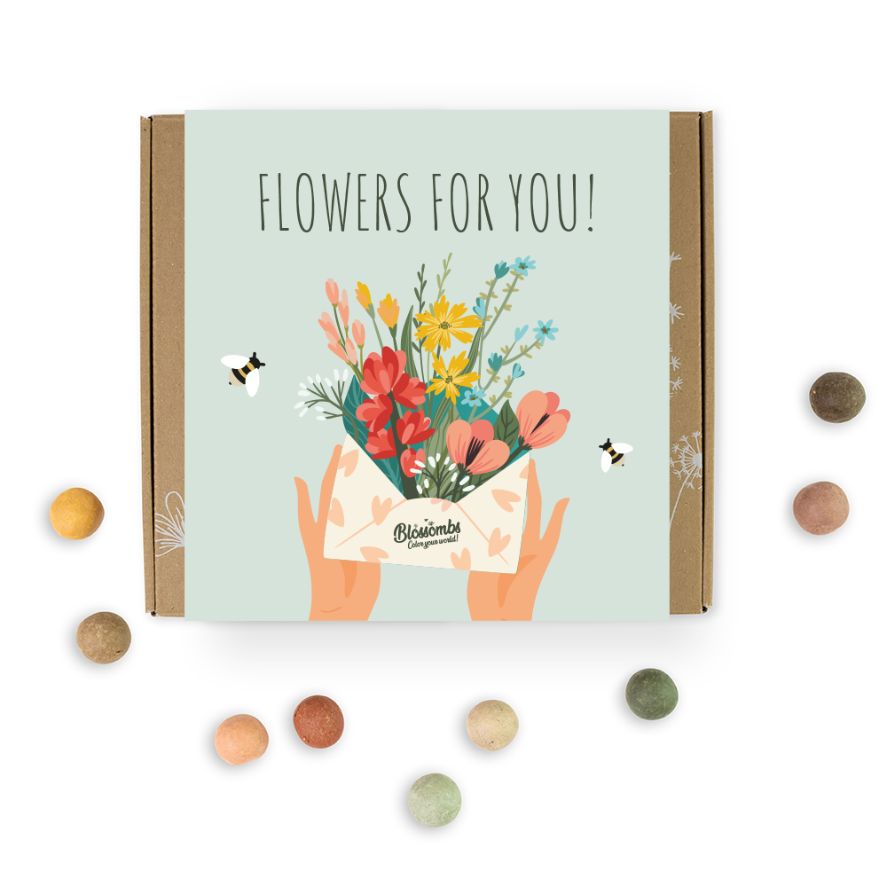 Blossombs Semínkové bomby - Dárkový box Kytice (9 ks) Blossombs