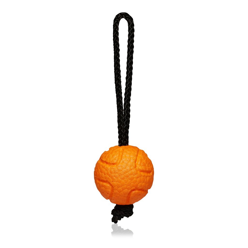 Explorer dog AirBall na provaze Oranžový 6