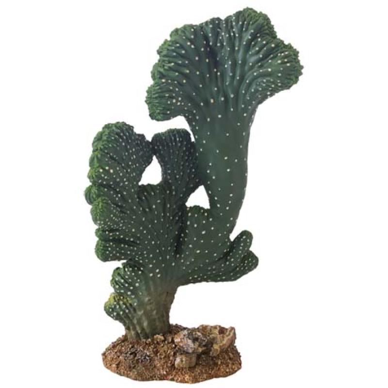 Hobby Kaktus Victoria 22cm Hobby