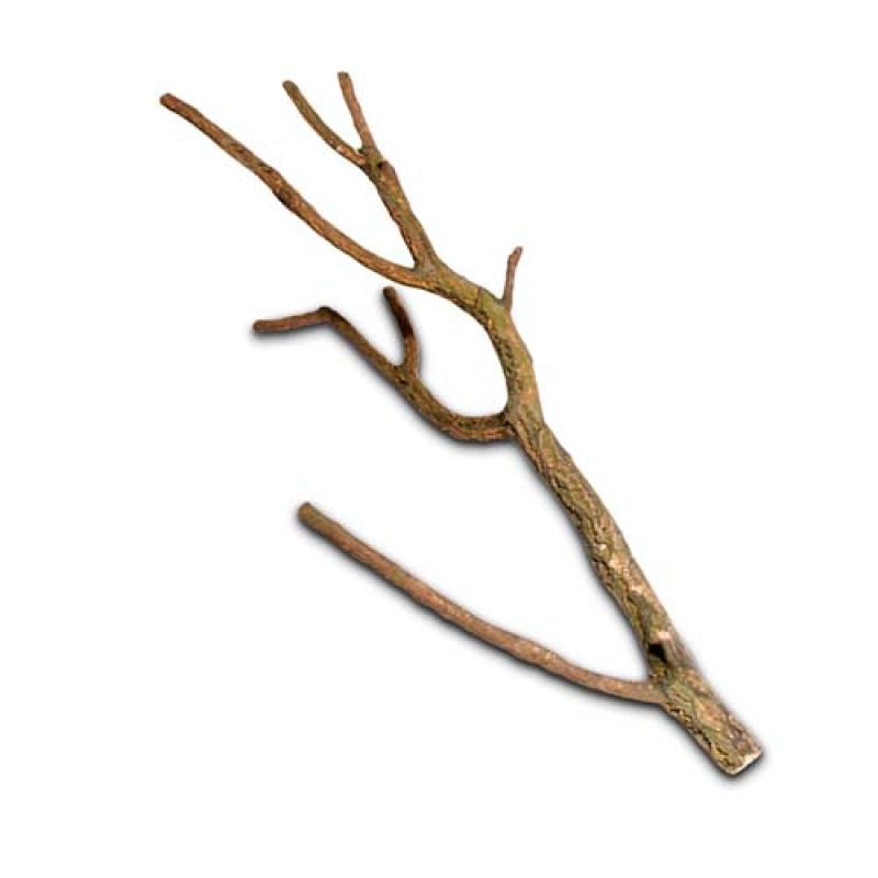 Hobby Korková větev 75-100cm Hobby