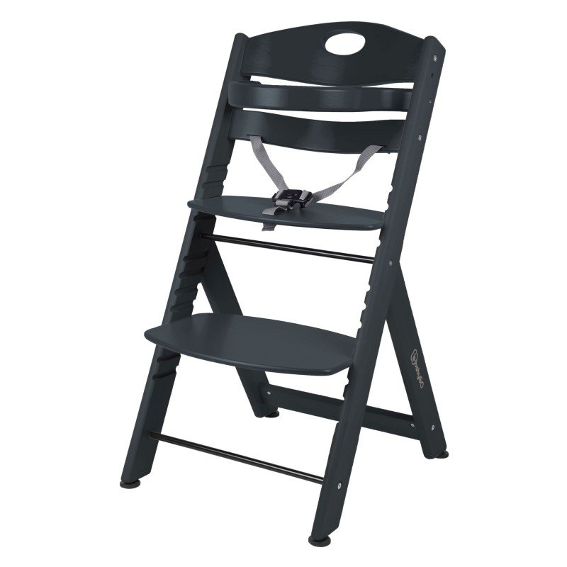BABYGO jídelní židlička FAMILY XL Black BABYGO