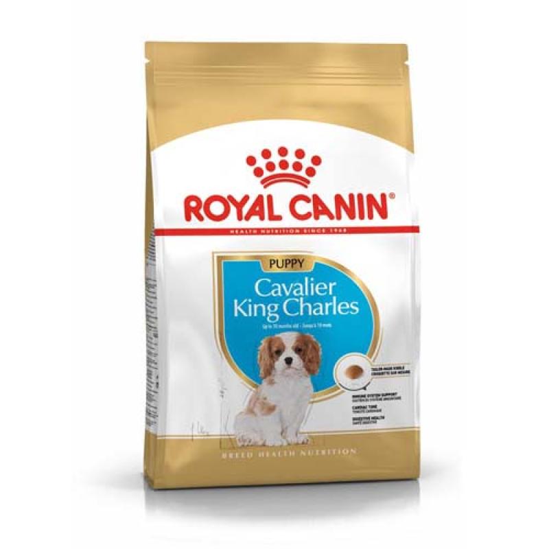 Royal Canin BHN CAVALIER KING CHARLES PUPPY 1