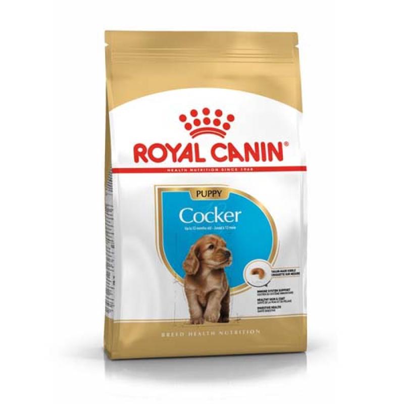 Royal Canin BHN COCKER PUPPY 3Kg -suché krmivo pro štěňata kokršpaněla Royal Canin