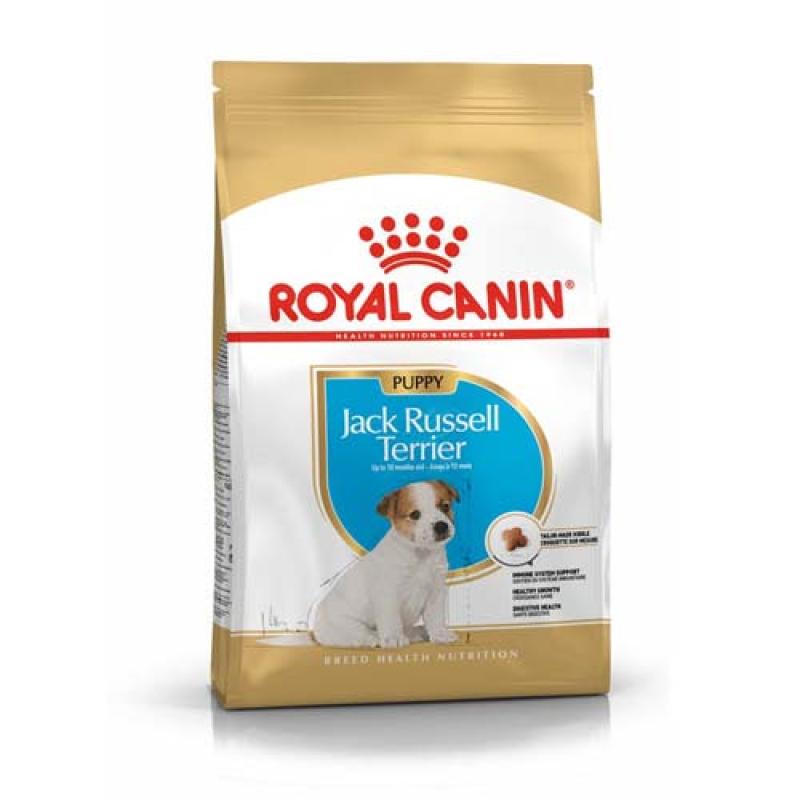 Royal Canin BHN JACK RUSSELL PUPPY 1