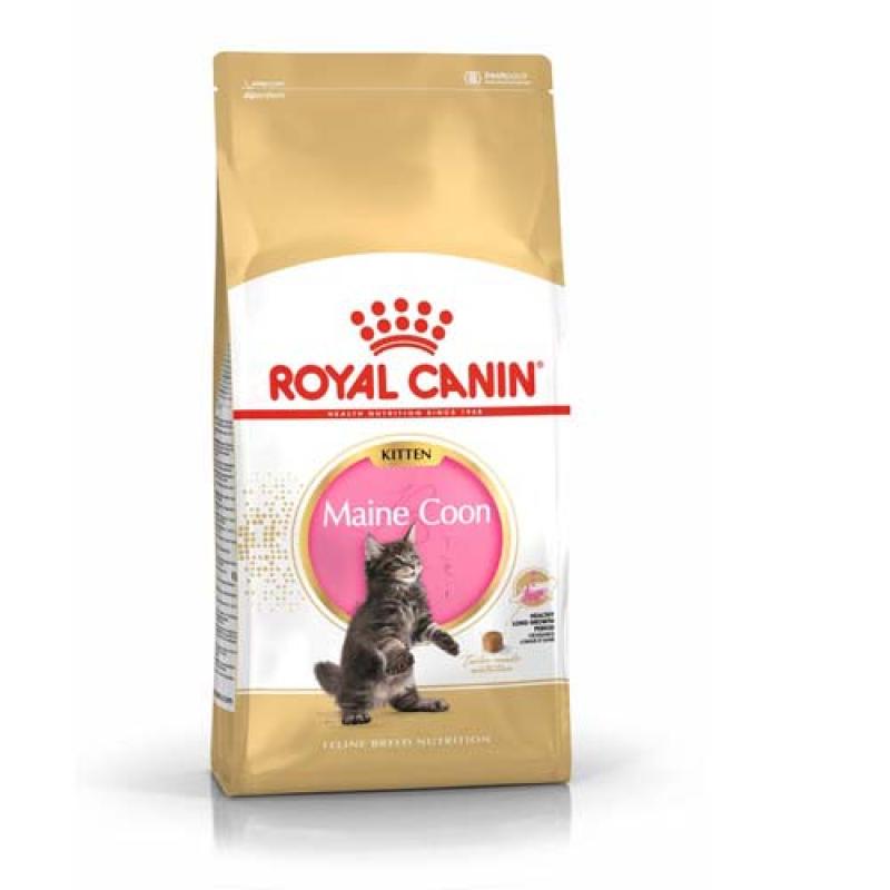 Royal Canin FBN MAINE COON KITTEN 2Kg krmivo pro koťata mainských mývalích koček Royal Canin