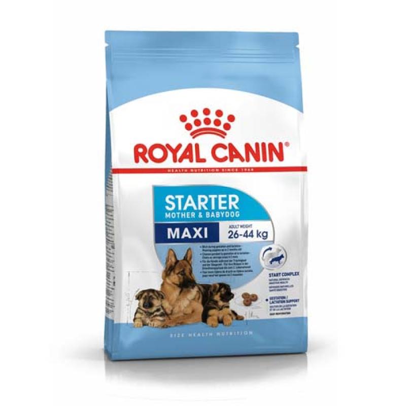 Royal Canin SHN MAXI STARTER M&B 4Kg -suché krmivo pro feny velkých plemen a jejich ště? Royal Canin