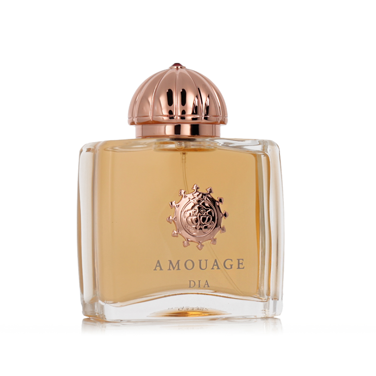 Amouage Dia Woman EDP 100 ml W (Nový obal) Amouage