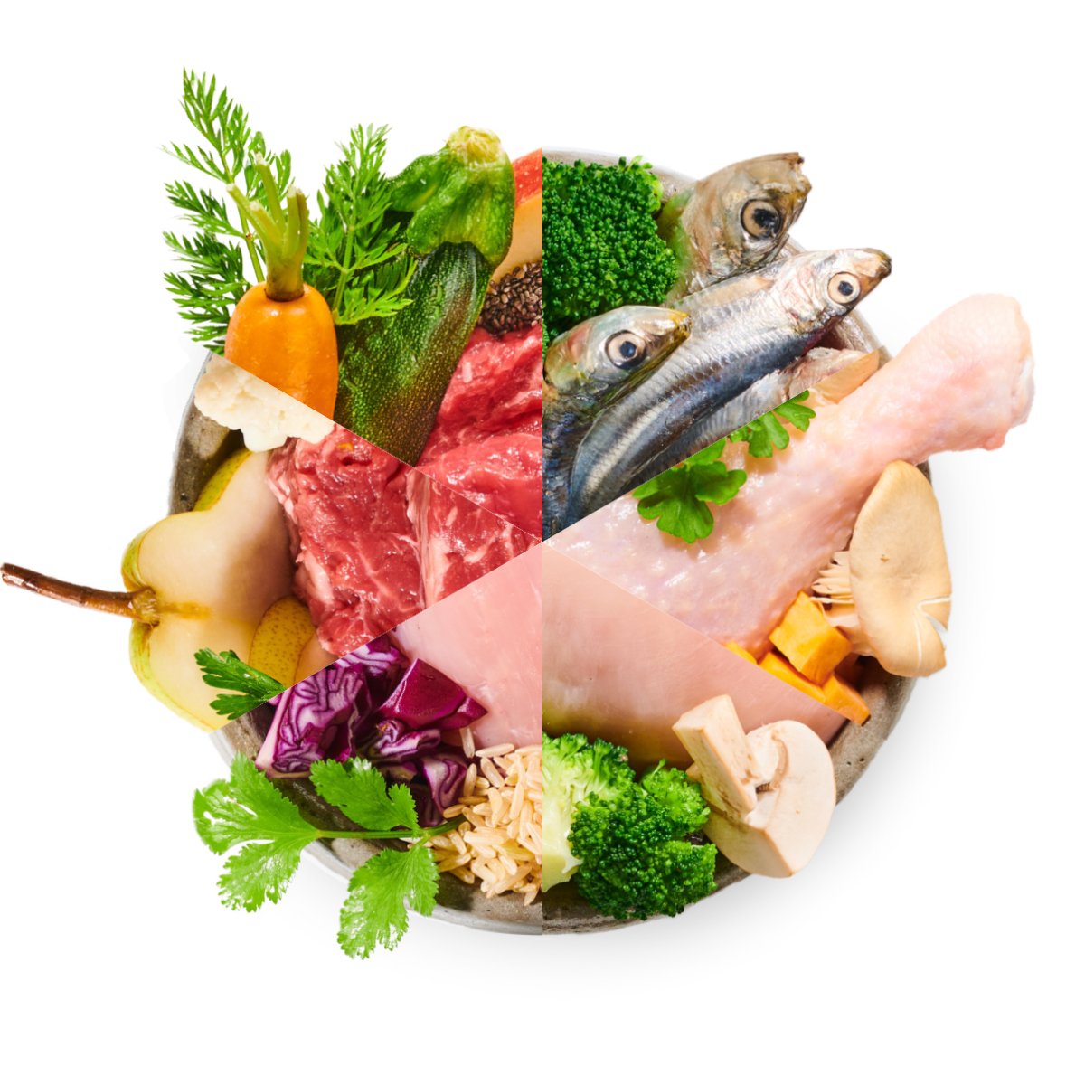 BiBi FOOD 14 denní mix - vařené psí jídlo