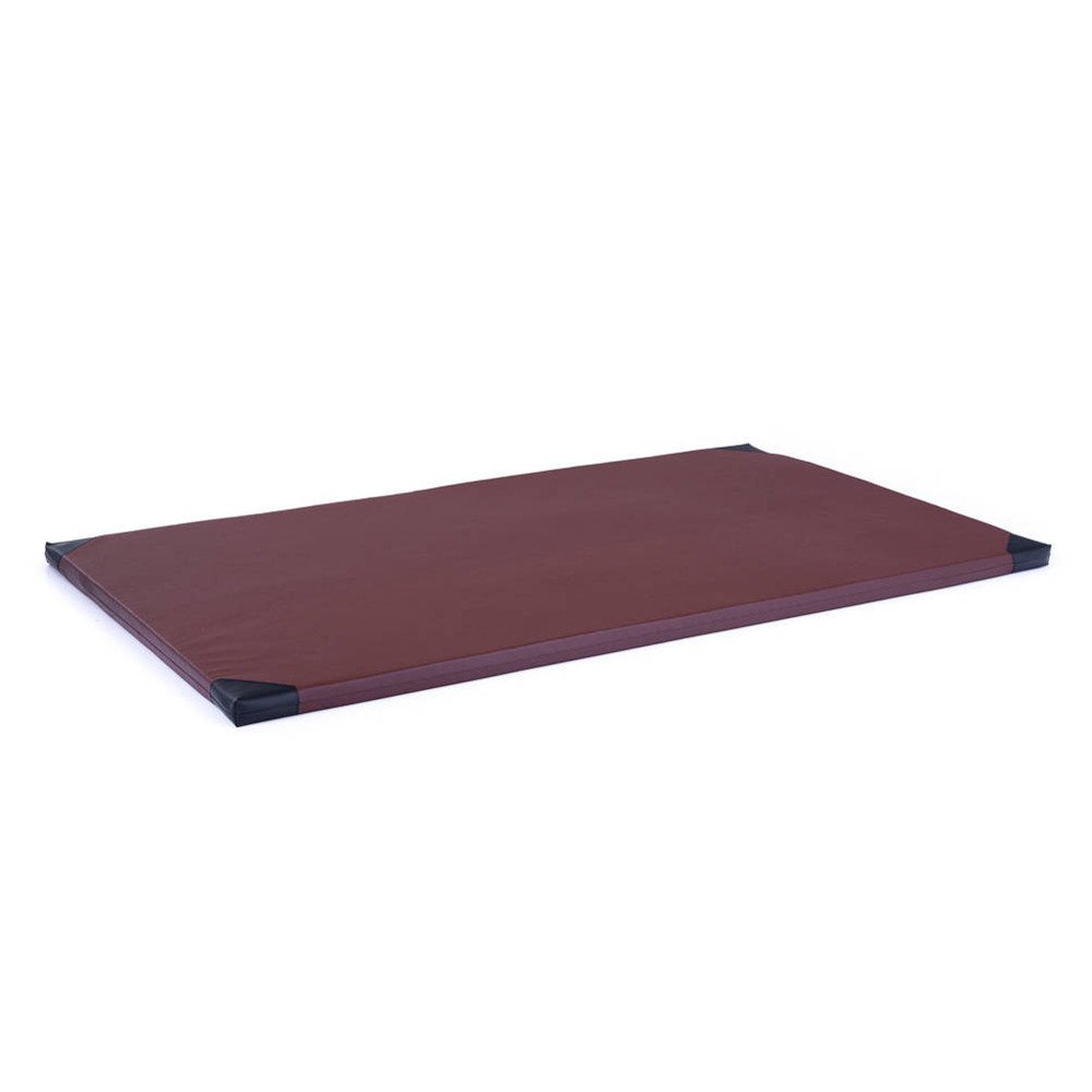 inSPORTline (by Ring Sport) Gymnastická žíněnka Roshar T90 200x120x5 cm hnědá inSPORTline