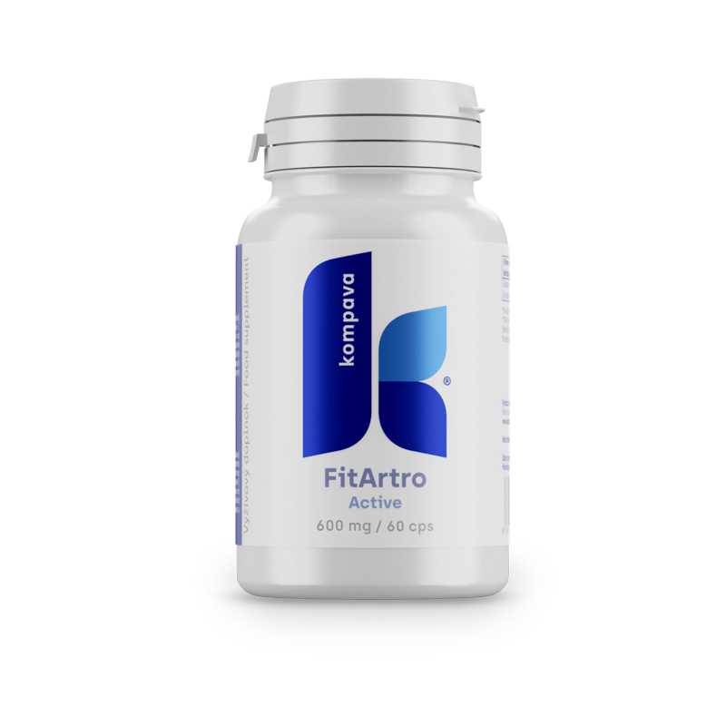 KOMPAVA Fit Artro Aktiv 600 mg/60 kps KOMPAVA