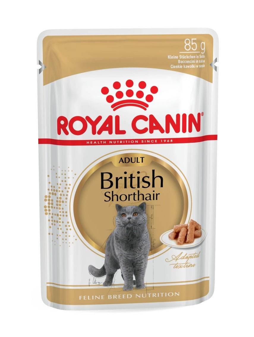 Royal Canin British Shorthair Adult kapsička 85 g Royal Canin