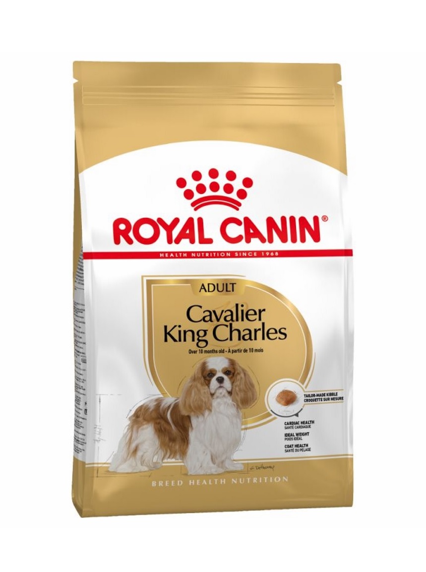 Royal Canin Cavalier King Charles Adult 1
