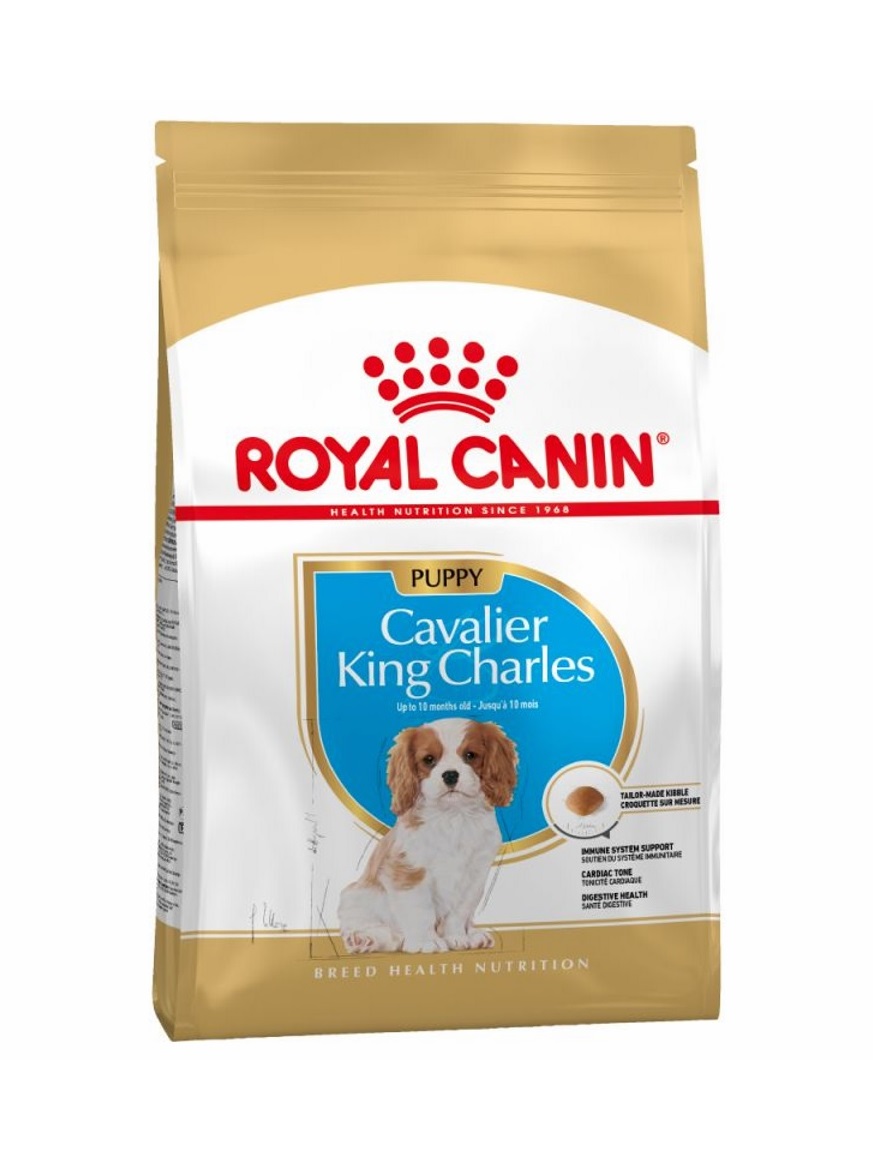 Royal Canin Cavalier King Charles Puppy granule 1